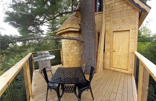 Harrington Cabin | Plus haute cabane dans les arbres en Amérique du Nord - Harrington, Canada
