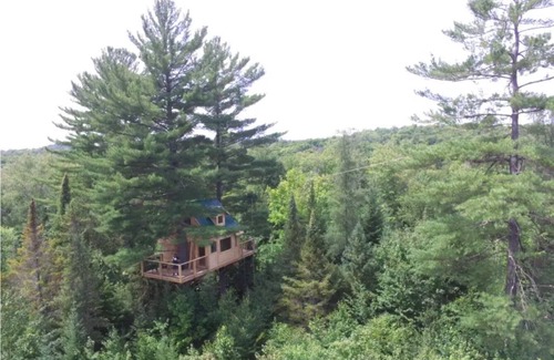 Harrington Cabin | Plus haute cabane dans les arbres en Amérique du Nord - Harrington, Canada