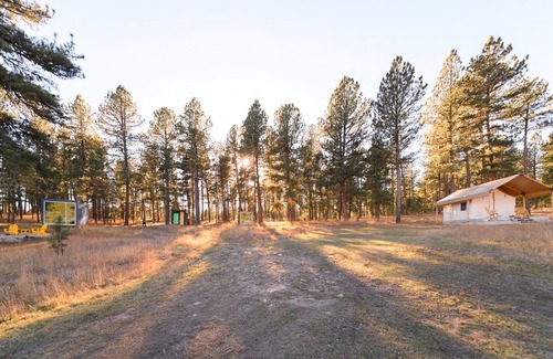 Custer House | Plush canvas tent in the forest