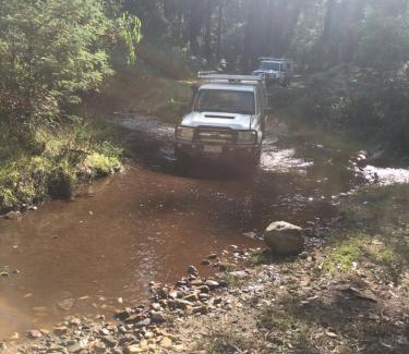 Narbethong Other | PNL 4WDriving Narbethong