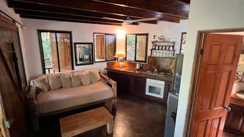 Mal Pais House | Pochote Jungle House