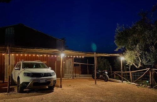 Cecina Bed & Breakfast | Podere al Fico B&B