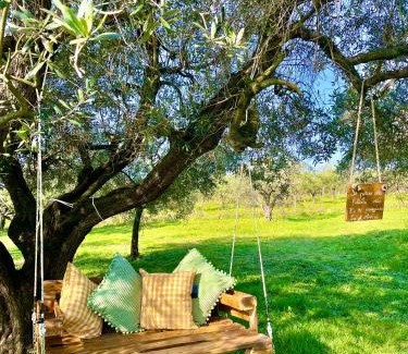 Cecina Bed & Breakfast | Podere al Fico B&B