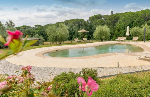 Monteverdi Marittimo Villa | Podere Cafaggio