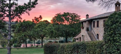 Collesanto House | podere collesanto