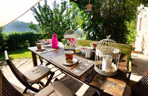 Massa e Cozzile House | Podere L'Istrice