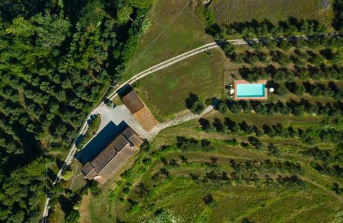 San Miniato Villa | Podere l'Ulivo