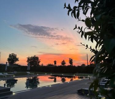 Monsummano Terme Apartment | Podere La Saliciaia