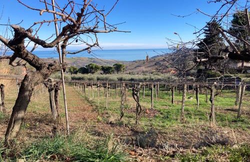 Atri House | PODERE Sant'ANNA B&B - Chalet tra le vigne