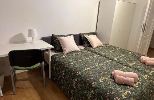 Rzeszow House | Podkarpacka 50