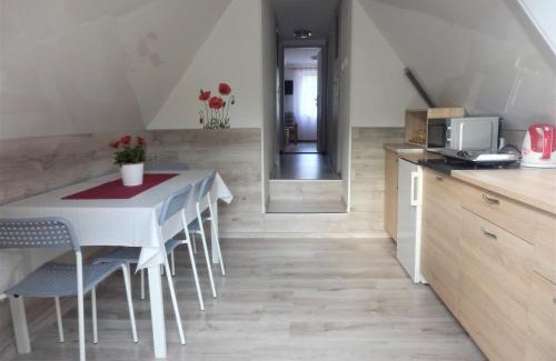 Stare Splavy Apartment | Podkrovní apartmán v Zátiší