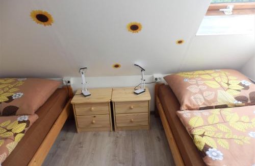 Stare Splavy Apartment | Podkrovní apartmán v Zátiší