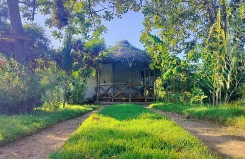 Naro Moru Cottage | Podocarpus Cottages -02
