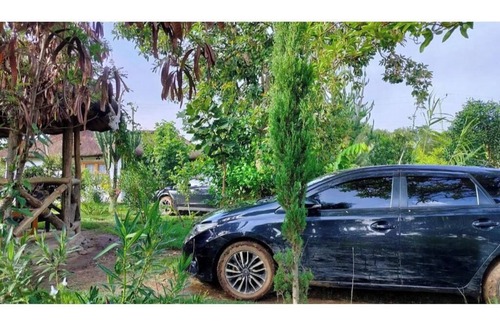 Naro Moru Cottage | Podocarpus Cottages -02