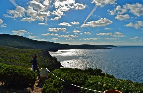 Carloforte Bed & Breakfast | Poecylia