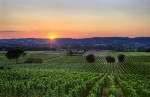 Torgiano House | Poggio alle Vigne