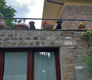 Coverciano Apartment | Poggio Gherardo