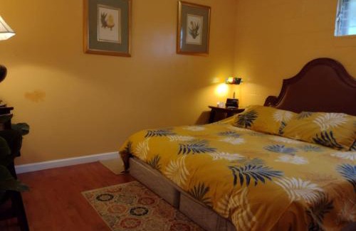 Keaau House | Pohaku Place - 3000 sqft of tropical charm spa