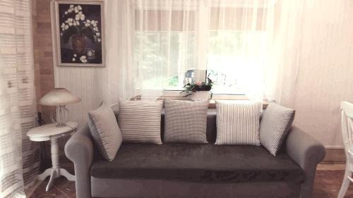 Alytus county House | Poilsis gamtoje su visais patogumais