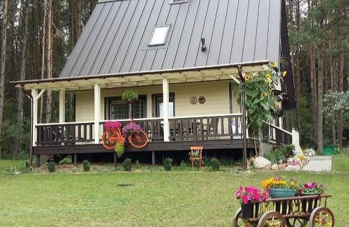 Alytus county House | Poilsis gamtoje su visais patogumais
