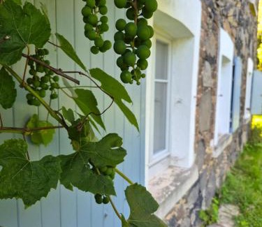Olszyna House | Pokój i Spokój Agroturystyka