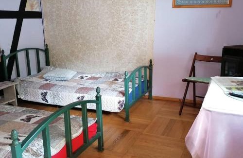 Leoncin House | Pokój Paw-puszcza kampinowska