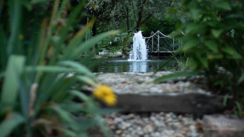 Csolnok Bed & Breakfast | Pollushof Panzió és Étterem