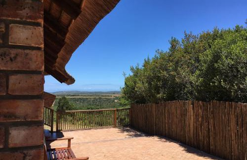 Seafield Cabin | Pomeroy Lodges