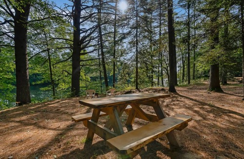 Oxford Cabin | Pond And Pine