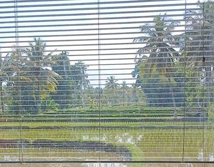 Kecamatan Pringgasela House | Pondok Tojang Lombok Timur