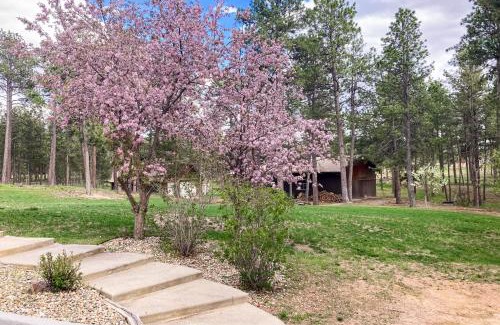 Colorado Springs House | Poolhouse in the Pines