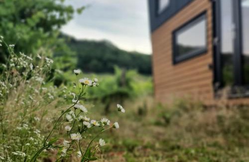 Kaptalantoti Apartment | POP Tiny House Balaton