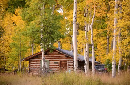 Clark Cabin | Porcupine Cabin - A Classy-Rustic Gem