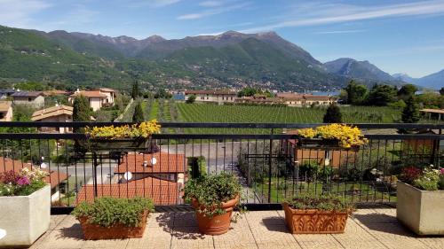 Portese Apartment | Portese la terrazza di Piero