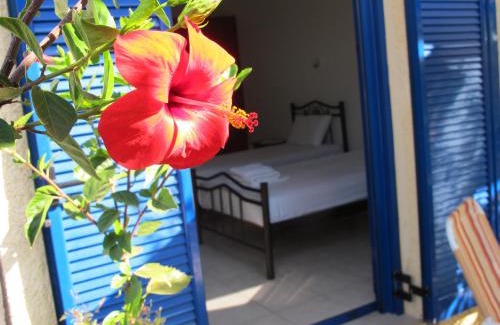 Kastri Apartment | Porto Kastri Studios