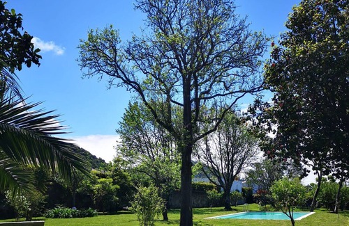 Belinho House | Portuguese villa, with garden and swimming pool, close to the sea and the river.