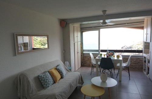Port-Vendres Apartment | Portvendres Sea view
