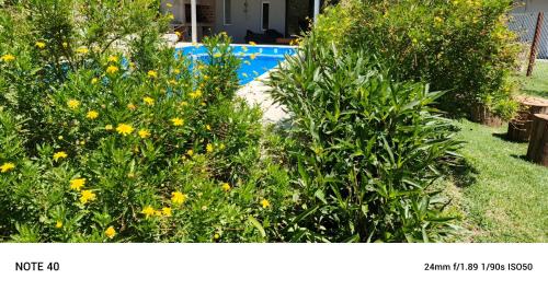 San Miguel del Monte Apartment | Posada del Sol Monte