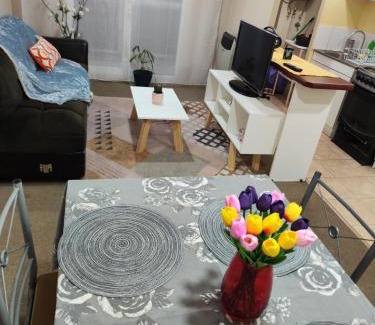 Padre Las Casas Apartment | Posada su y clau