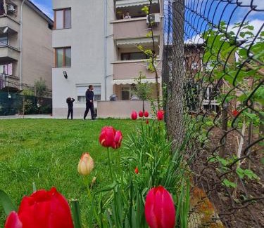 Petrich Apartment | Positive Apartment