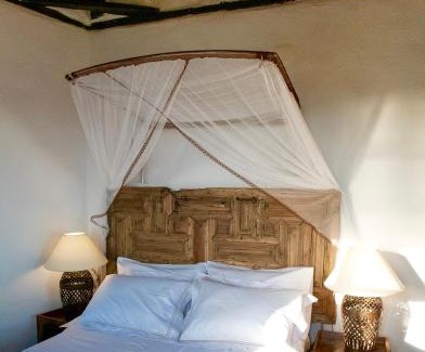 Lefktro Villa | PositiveSpace Olive Tree