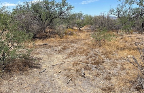Diamond Bell Ranch RV Rental | Post apocalyptic campgrounds on the borderlands of America