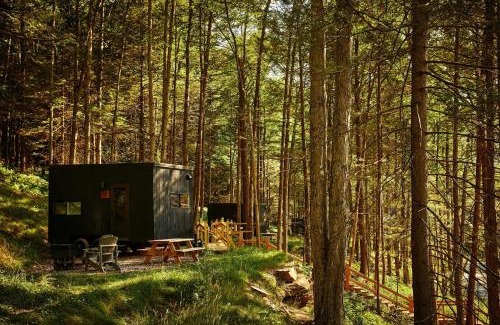 Ottawa Other | Postcard Cabins Starved Rock
