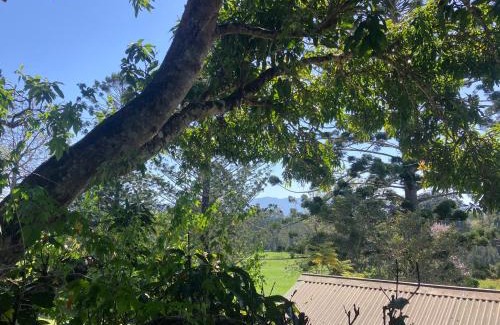 Bellingen Apartment | Potters Cottage