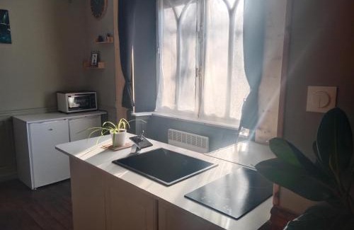 Luxeuil-les-Bains Apartment | Pounette T3 villa appt rdc 2 chambres thermes centre