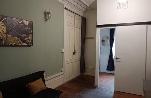 Luxeuil-les-Bains Apartment | Pounette, villa T2 RDC Thermes Centre Luxeuil