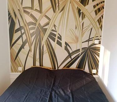 Luxeuil-les-Bains Apartment | Pounette, villa T2 RDC Thermes Centre Luxeuil