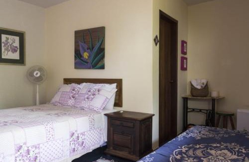 Alto Paraiso de Goias Bed & Breakfast | Pousada Luz do Sol