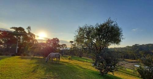 Bocaina do Sul House | Pousada Recanto Das Araucárias