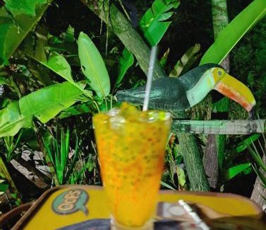 Contagem House | Pousada toca da coruja